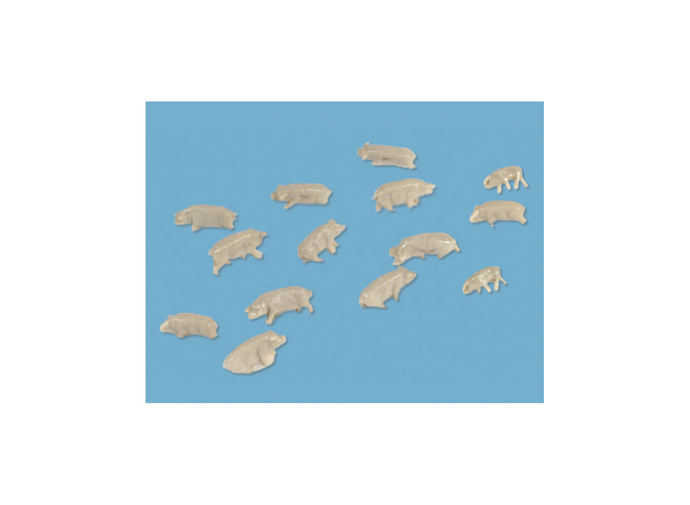 Modelscene 5176 Pigs