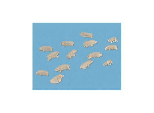 Modelscene 5176 Pigs