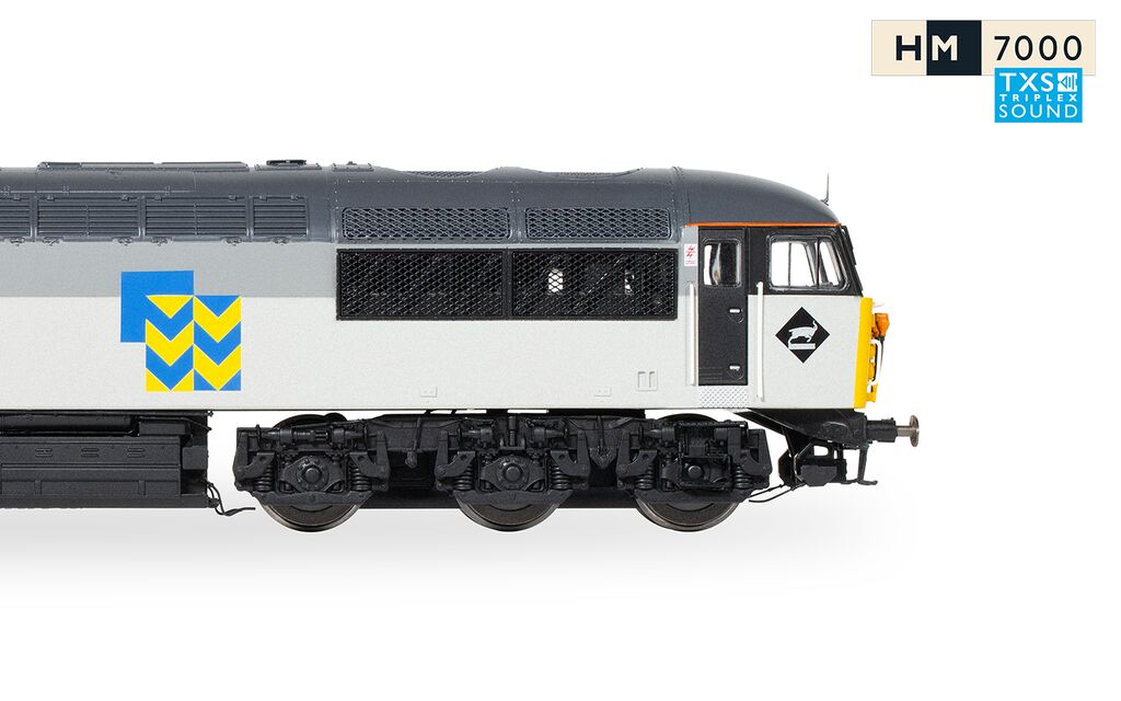 Hornby R30155TXS BR Railfreight, Cl56 56060 The Cardiff Rod Mill (DCC Sound), OO Gauge