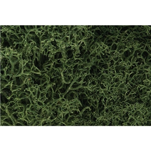 Woodland Scenics WL163 Medium Green Lichen