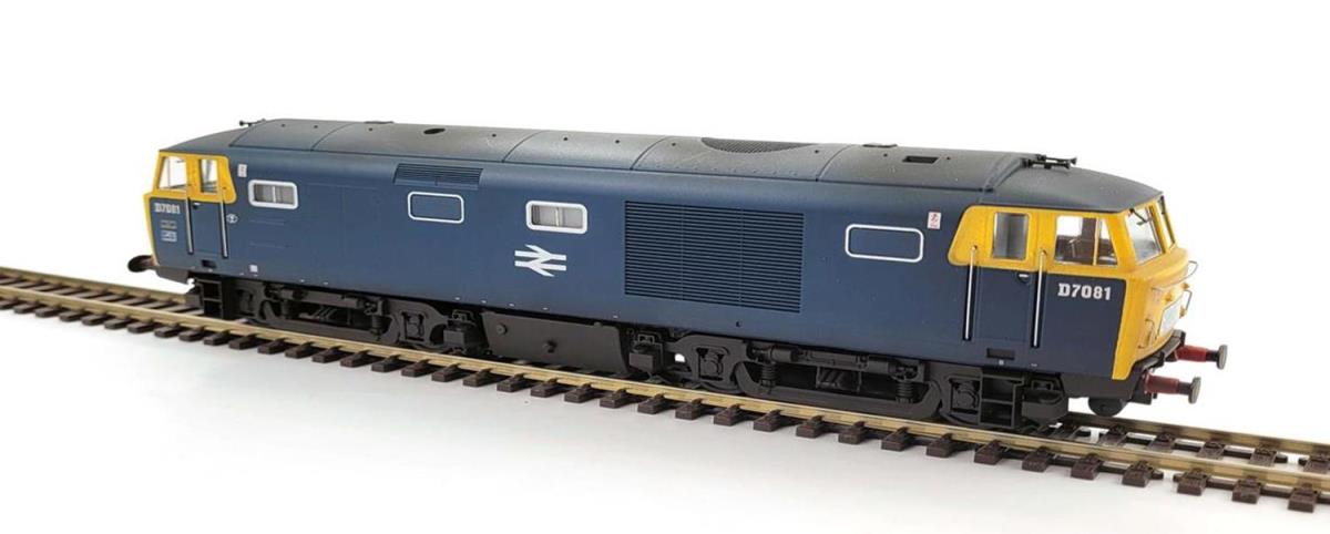 Heljan 3536 Class 35 D7081 BR Blue Full Yellow Ends Weathered