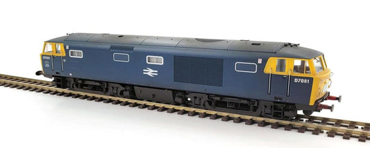 Heljan 3536 Class 35 D7081 BR Blue Full Yellow Ends Weathered