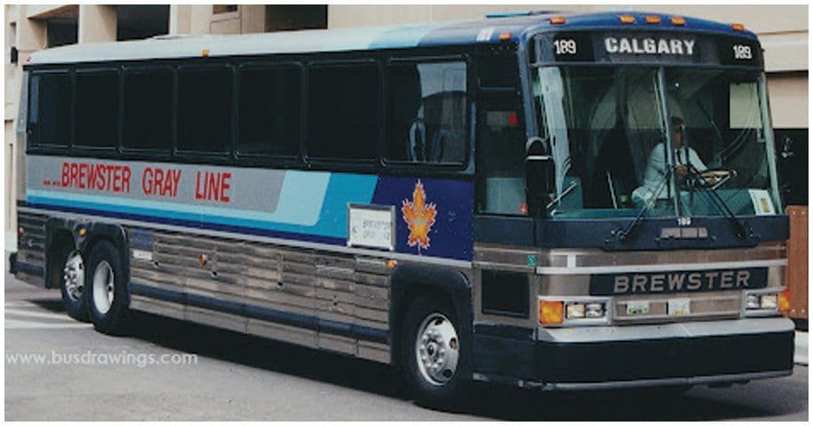 Iconic Replicas 870622 MCI D4000 Coach: Brewster Gray Line  1:87 Scale *PRE ORDER £50.39*