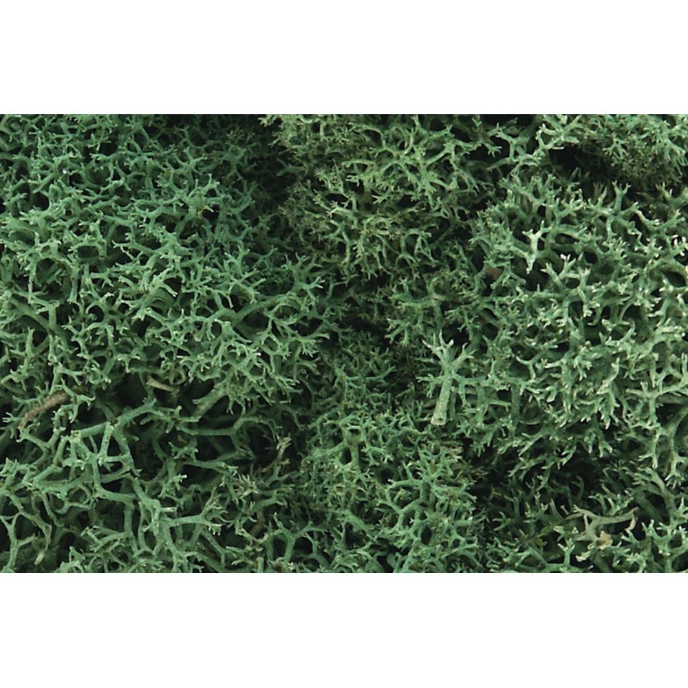 Woodland Scenics WL162 Light Green Lichen