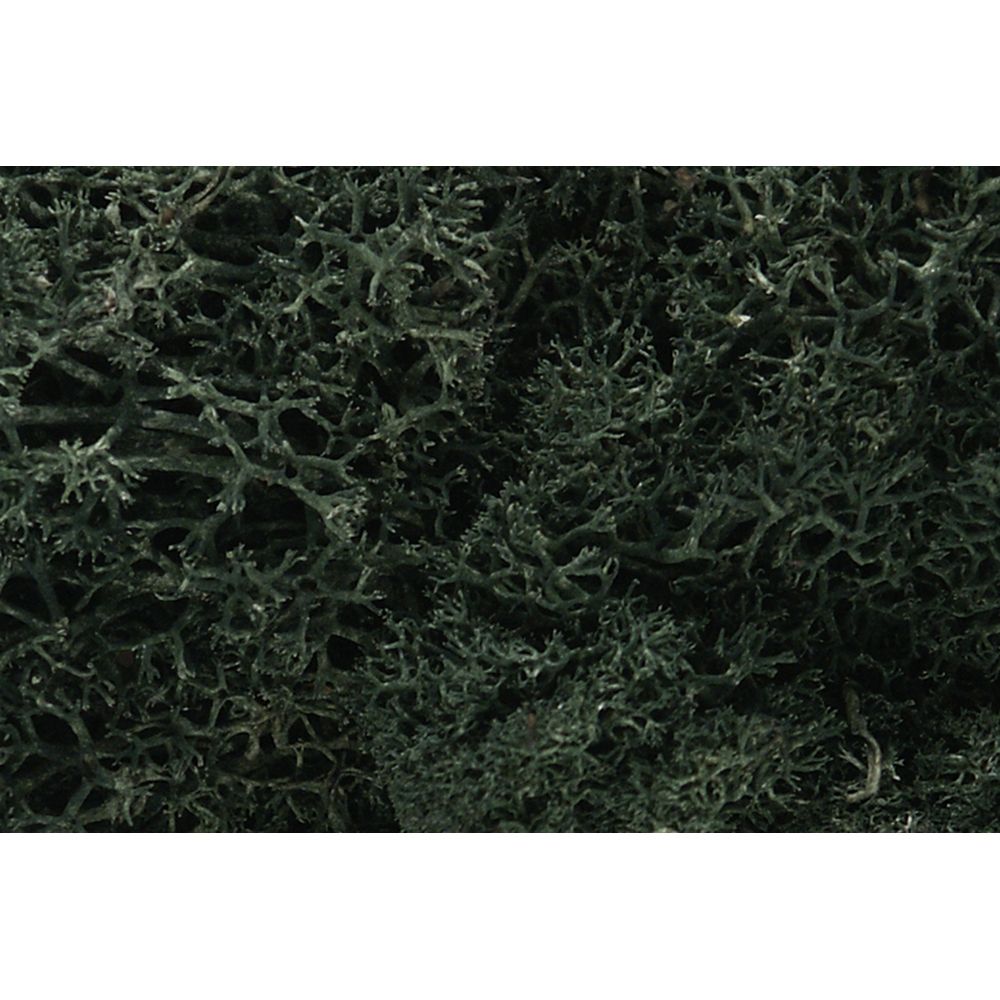 Woodland Scenics WL164 Dark Green Lichen