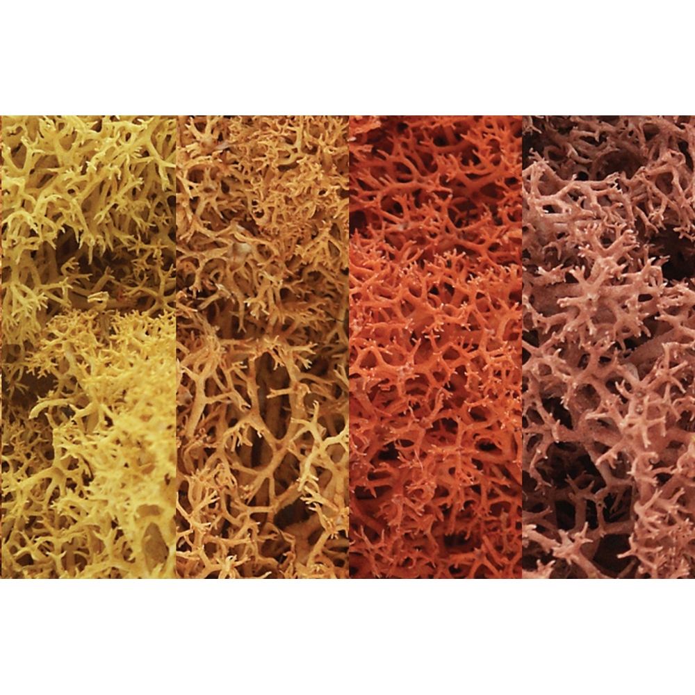 Woodland Scenics WL165 Autumn Mix Lichen